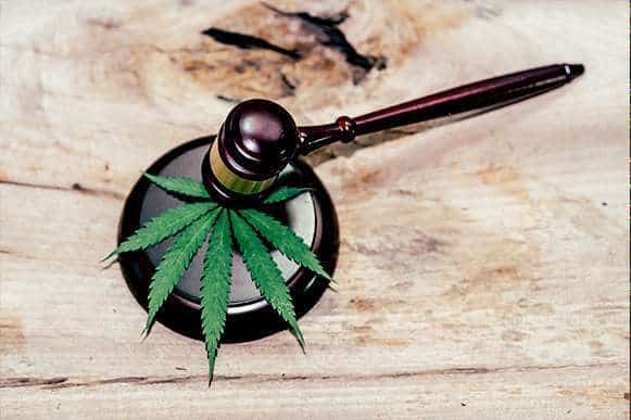 Marijuana Addiction | Crossroads Recovery Centre - Gauteng