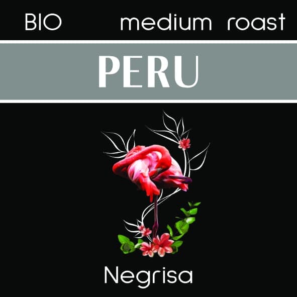 Flamingo, schwarzer Hintergrund