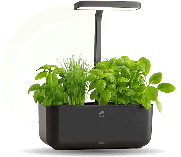 potager noir sur fond neutre