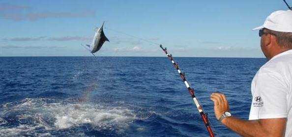 Dal 10 Agosto su DMAX "Swords: pesca in alto mare" | Digitale terrestre: Dtti.it