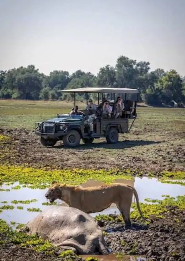 Lusaka Wildlife Drive