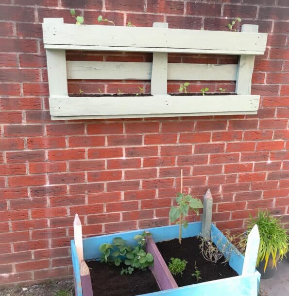 the completed pallet planter on the wall
