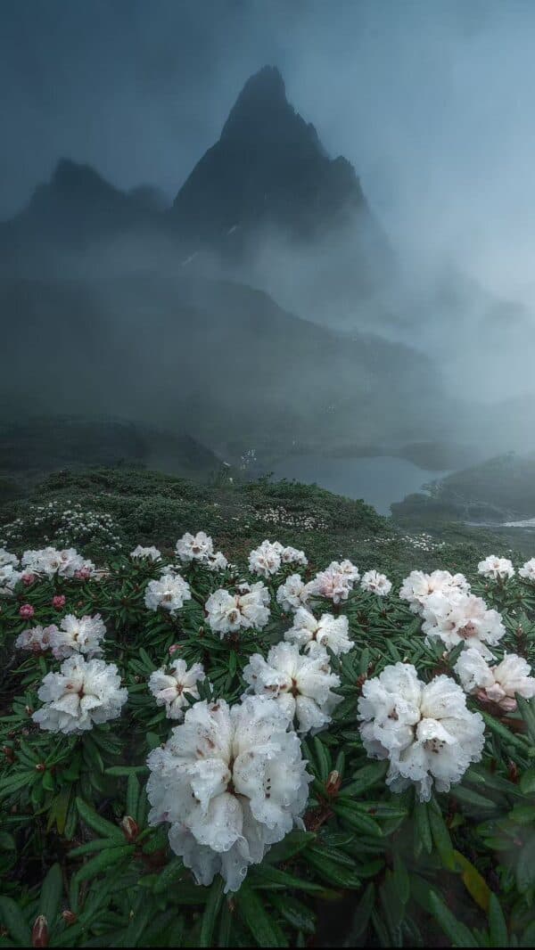 Nanjilo 3-Day Private Expedition: The Hidden Glacial Lakes & Meili Snow Mountain