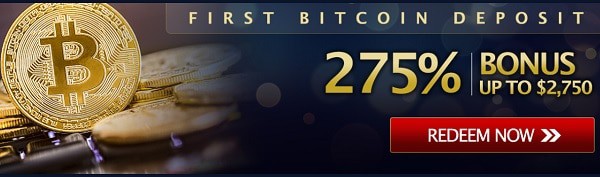 24 VIP bitcoin bonus