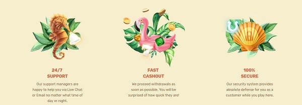 Paradise Online Casino Support, Cashouts, Security