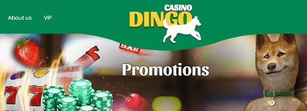 Dingo Casino Free Spins Bonus Codes