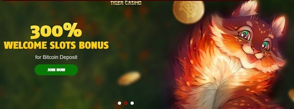 300% slot bonus after bitcoin deposit