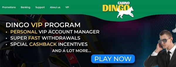 VIP offers