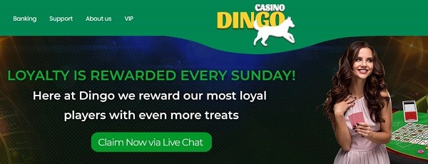 Dingo Loyalty Program