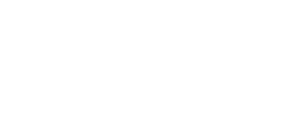 Workday staff augmentation
