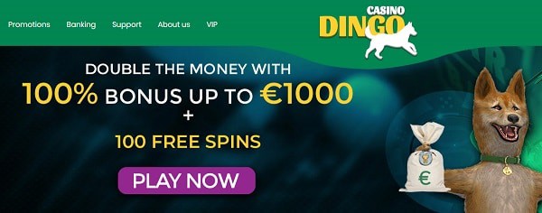 100% bonus and 100 free spins