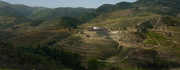 Niepoort.jpg