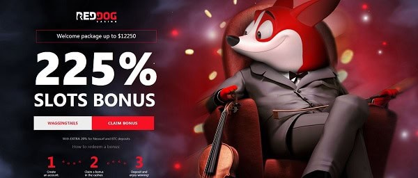 Welcome Bonus at Red Dog Casino