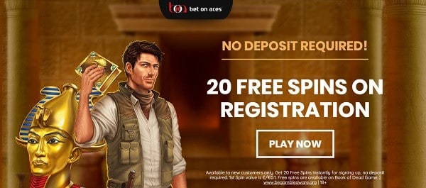 20 free spins Book of Dead slot no deposit bonus