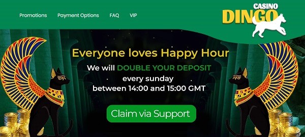 Special bonuses to online casinos by Dingo