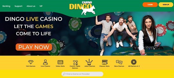 Join Dingo's games and play for jackpots! 