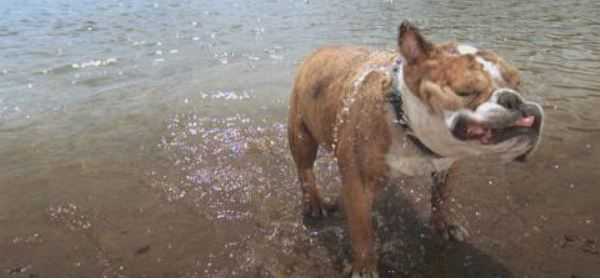 Dal 12 ottobre su DMAX arriva "Effetto rallenty" | Digitale terrestre: Dtti.it