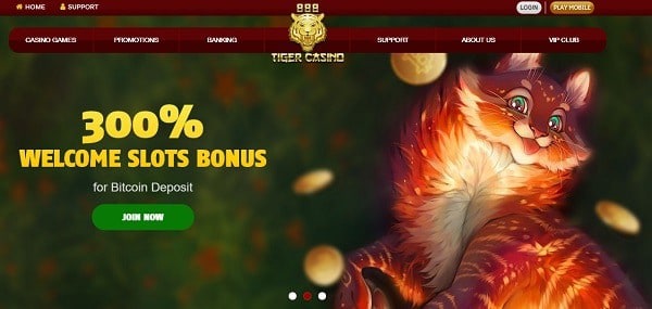 300% bonus and free spins on Bitcoin deposit 