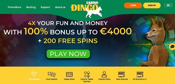 Dingo 100% bonus and 100 free spins 