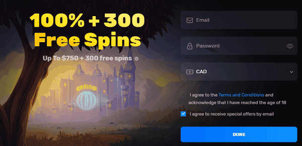 100% bonus and 300 free spins on first purchase