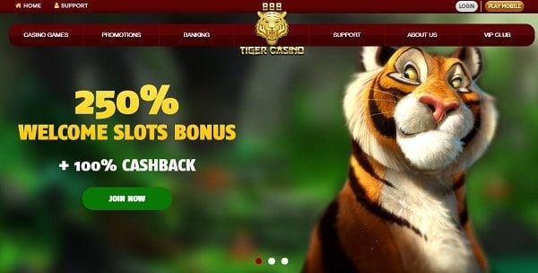 250% welcome bonus and 100% extra