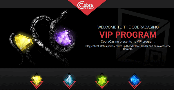 VIP Program & Loyalty Bonuses 