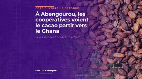 Fèves de cacao séchées sur une claie à Soubré, en Côte d'Ivoire, illustration de la fuite du cacao vers le Ghana dénoncée à Abengourou