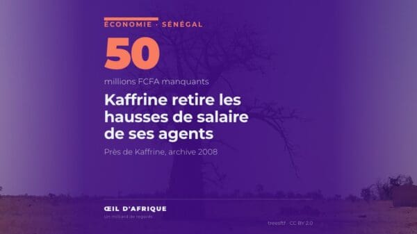 Baobab dans la plaine près de Kaffrine, au Sénégal, où la revalorisation salariale des agents du Conseil départemental a été suspendue