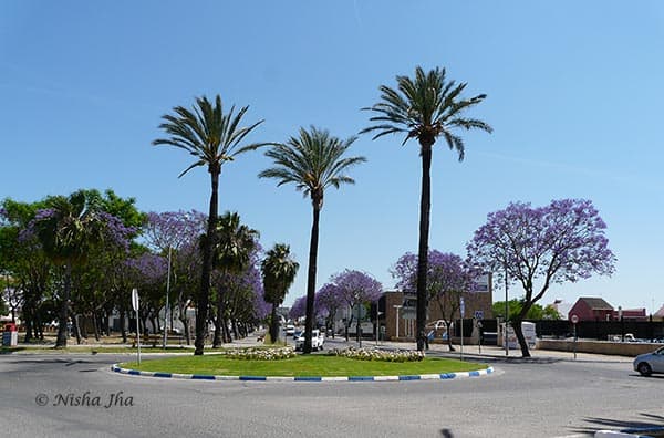 lebrija spain @lemonicks.com