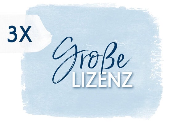 Sparpaket - 3x große Gewerbelizenz