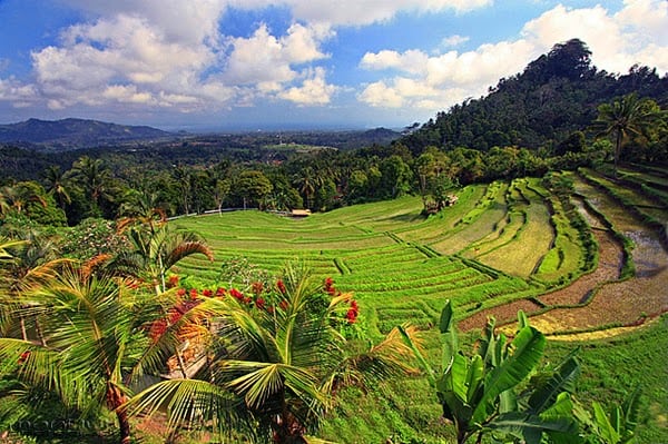 bukit-jambul-bali