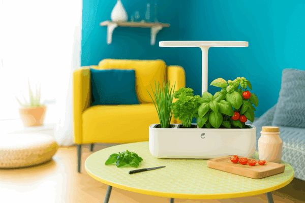 Potager blanc connecté Cultive mis en situation