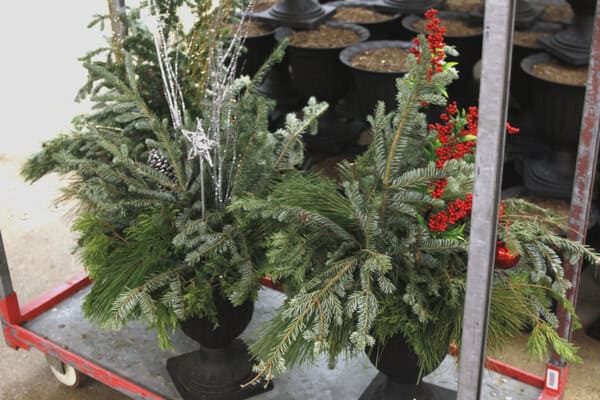 Elegant floral arrangement with greenery and red berries in a tall black vase.
