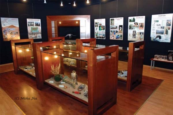 abu dhabi falcon hospital @lemonicks.com