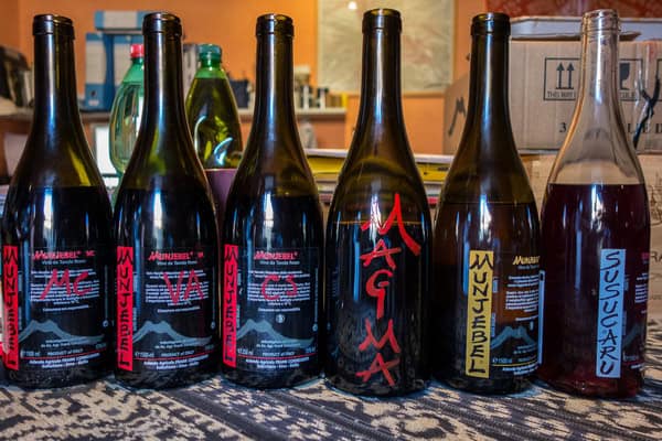 cornelissen-10.jpg