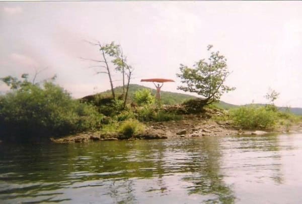 KozmonGyula