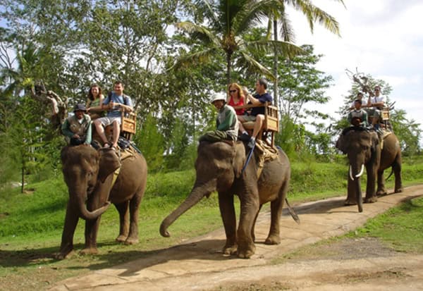 bali elephant riding