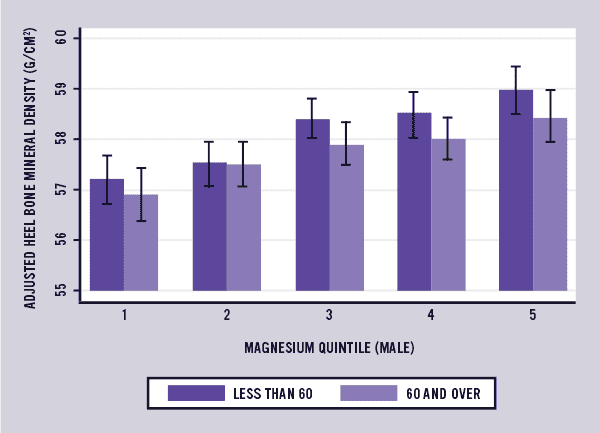 male magnesium and bone density