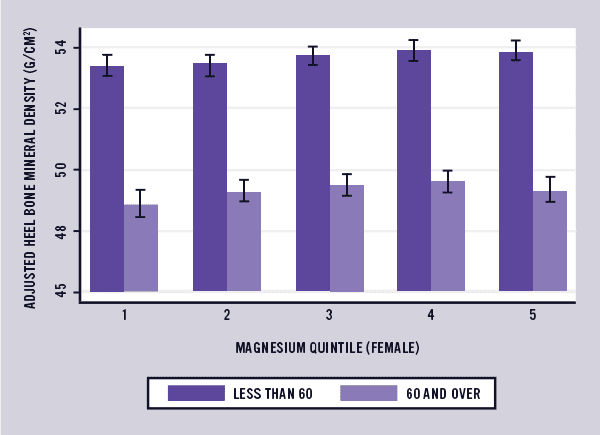 female magnesium and bone density