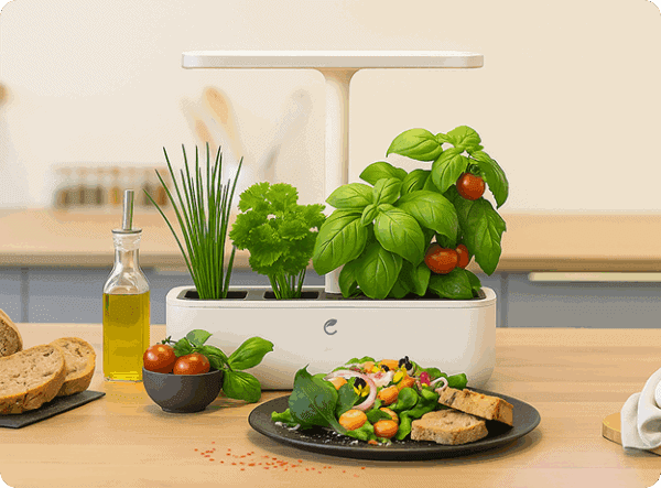 Potager blanc connecté Cultive mis en situation