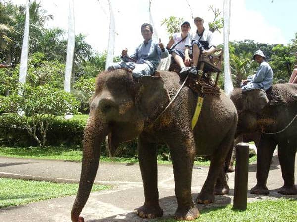 bali elephant rides