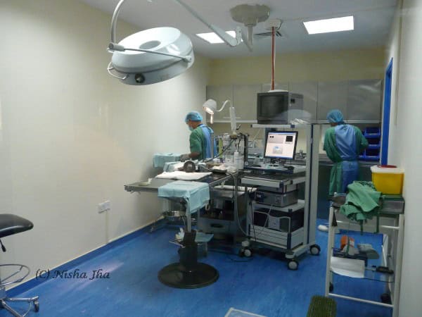 abu dhabi falcon hospital @lemonicks.com