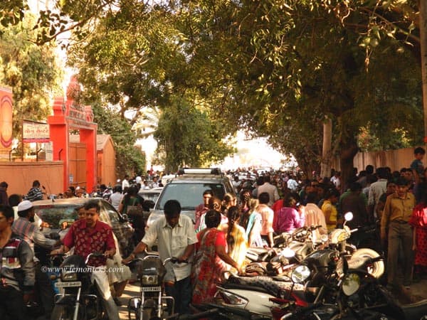 kite festival @lemonicks.com