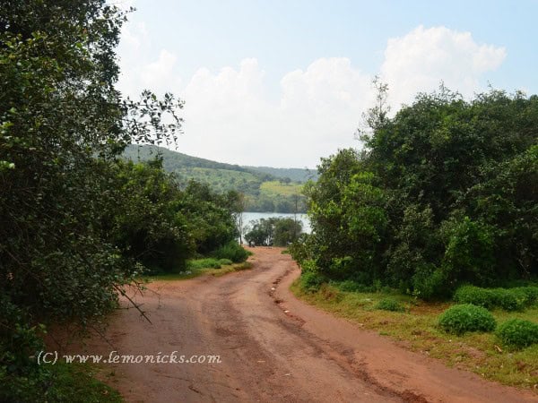 ford eco sport @lemonicks.com