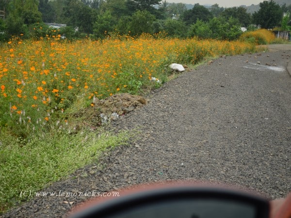 review ford eco sport @lemonicks.com