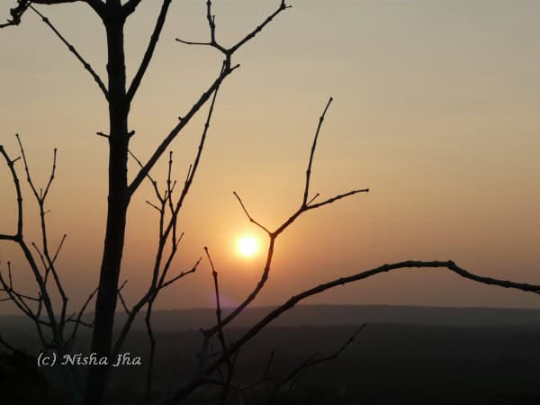 sunset kanha wildlife @lemonicks.com