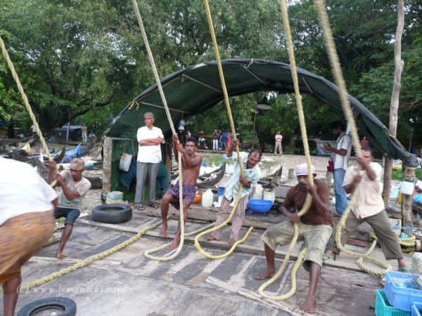 fishermen kochi @lemonicks.com