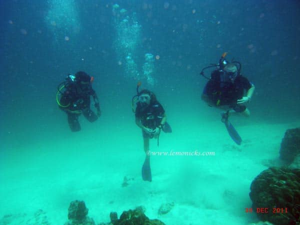 thailand @lemonicks.com