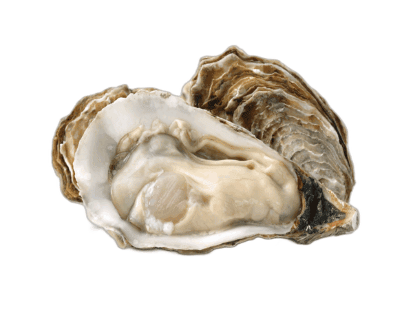 Ostriche Gillardeau 2°