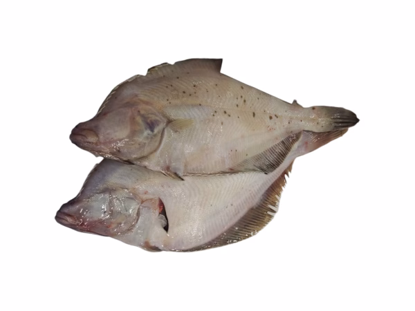 Platessa -300 gr